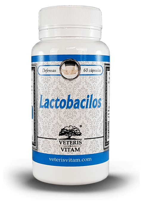 Lactobacilos principal